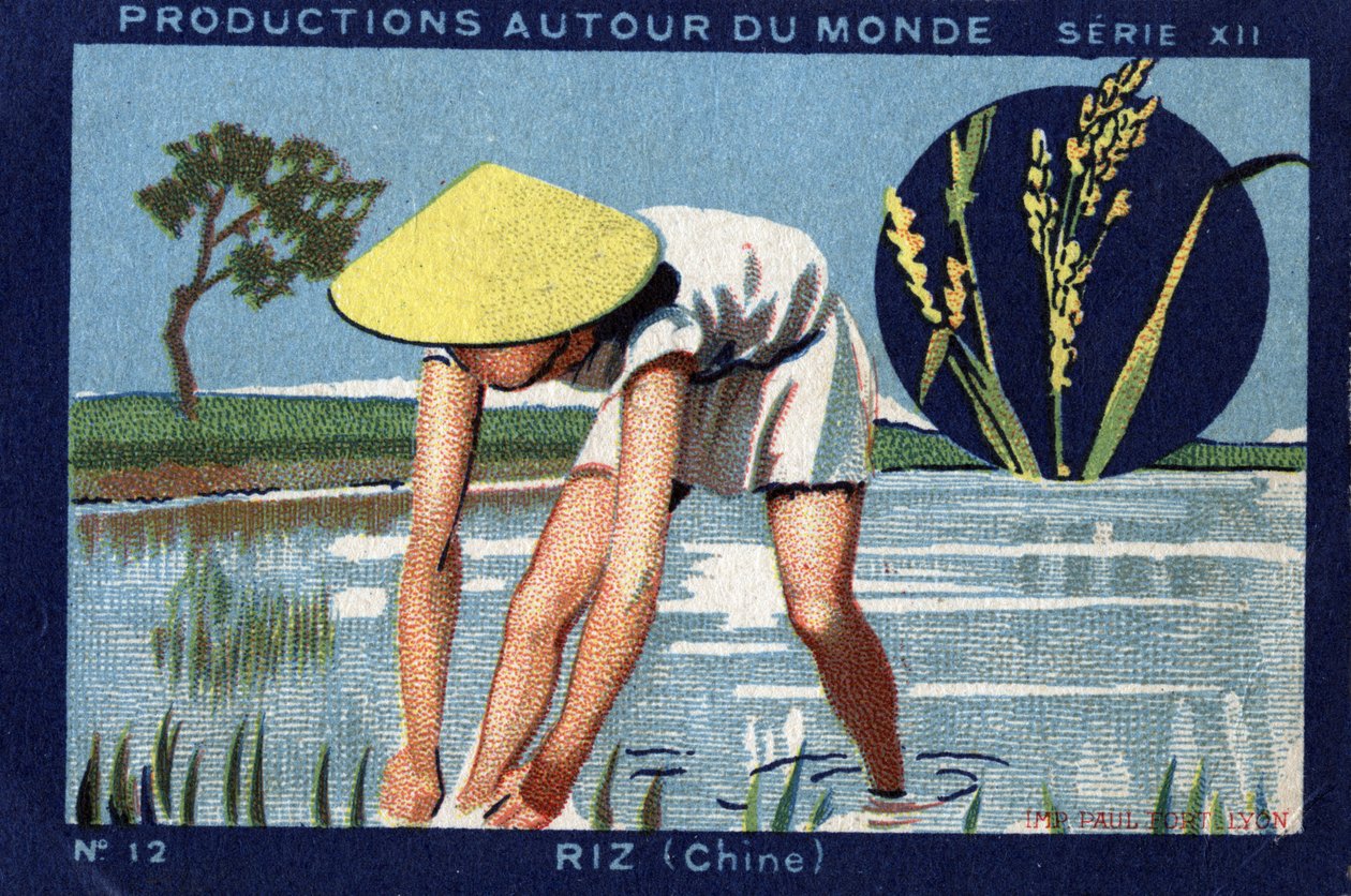 Produktioner over hele verden: Ris i Kina. 1933 Chromolithography i "" Joseph-Milliat Album"" af Anonymous Anonymous