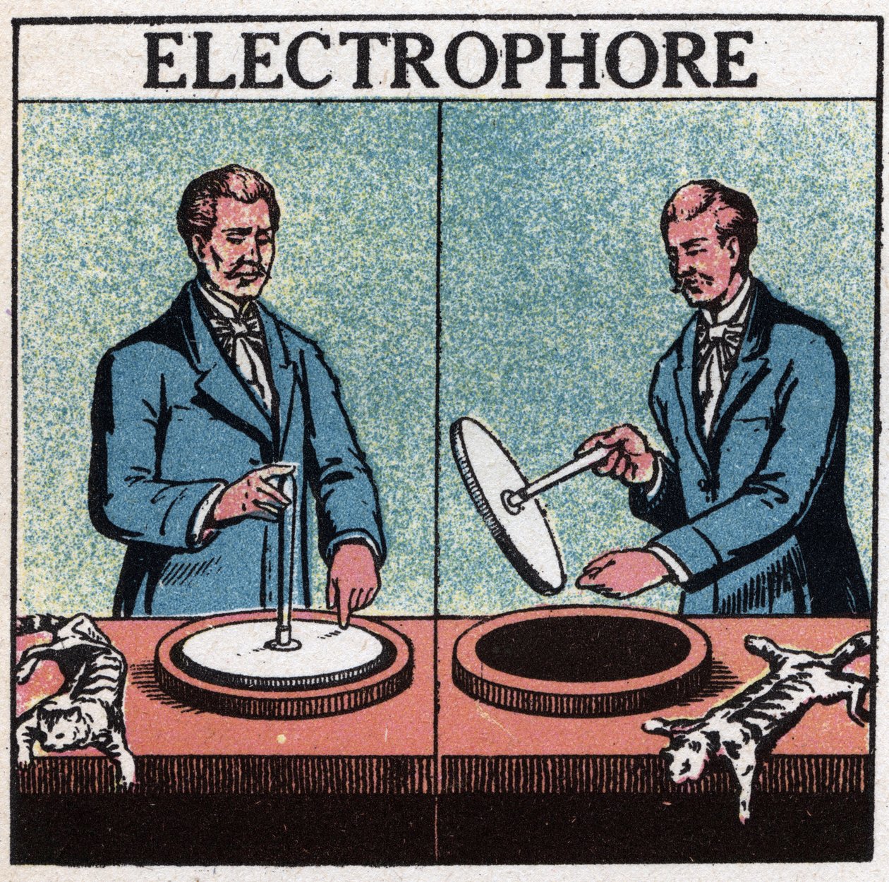 Statiske maskiner: elektroforeus. Anonym illustration af 1925. Privat samling. af Anonymous Anonymous