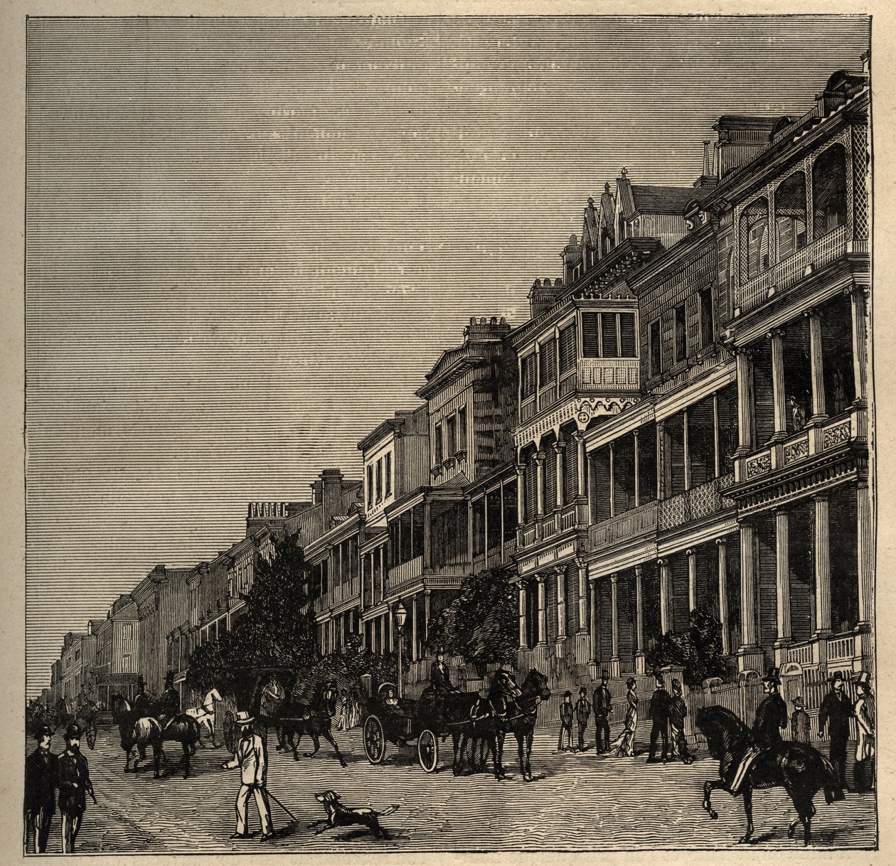 Sydney - Australien - 1890 - gravering 1890 af Anonymous Anonymous