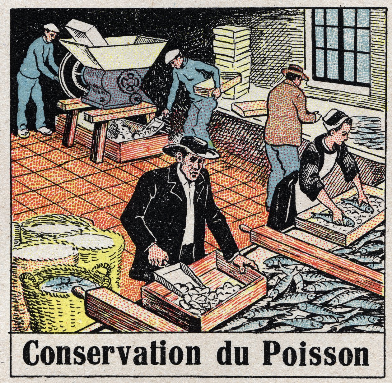 Den kolde industri: Bevarelse af fisk i is. Anonym illustration fra 1925. Privat samling. af Anonymous Anonymous