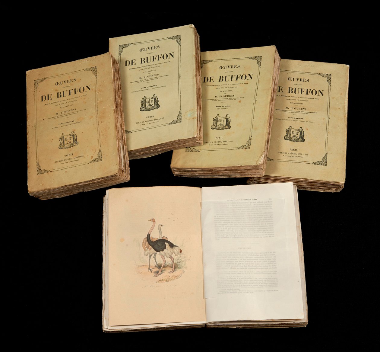 The Complete Artworks of Buffon (1707 - 1788) - privat samling af Anonymous Anonymous