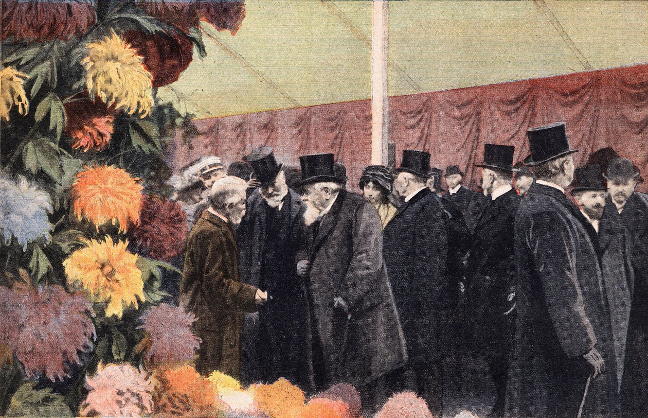Krysantemfesten: officiel krysantemudstilling. Gravering. En af avisen "" Le petit parisien"" den 20.11.1910. Privat samling. af Anonymous Anonymous