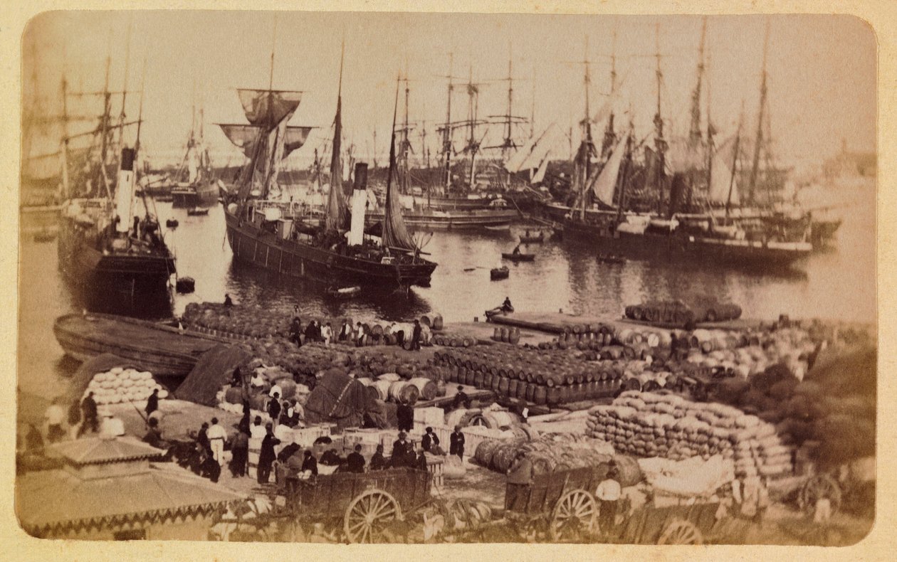 Byen Marseille og dens omgivelser omkring 1885 -1890: Bassin de la Joliette, fragtbord på katte, Privat samling af Anonymous Anonymous