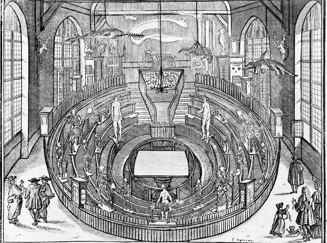 Udsigt over et anatomisk teater sandsynligvis ved Leiden Universitet i begyndelsen af det 17. århundrede (gravering) af Anonymous Anonymous