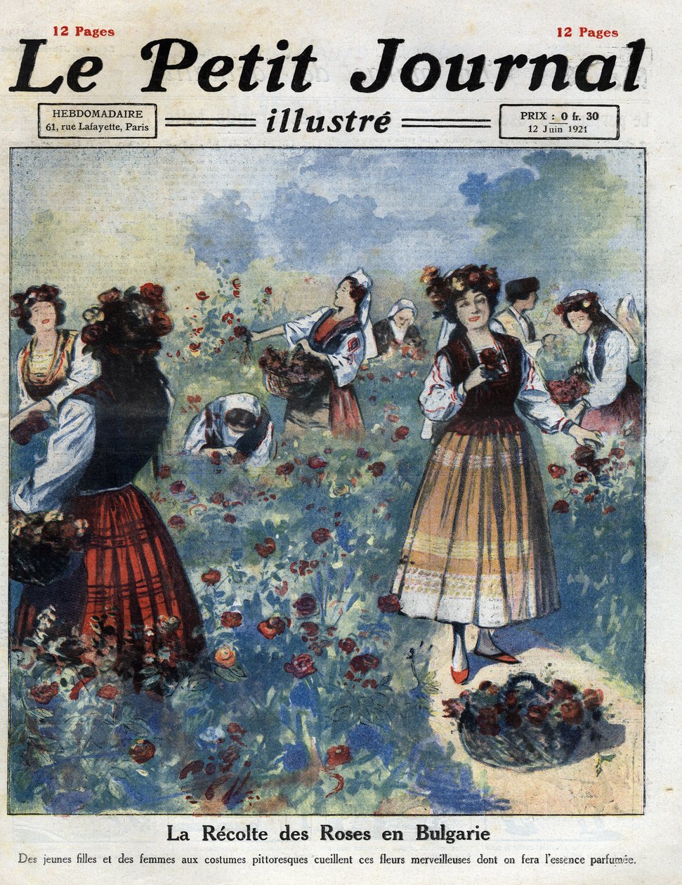 Unge kvinder i traditionelt bulgarsk kostume plukker roser til fremstilling af rosenvand. Illustration taget fra "" Le petit journal illustrious""" af 12/06/1921. Privat samling af Anonymous Anonymous