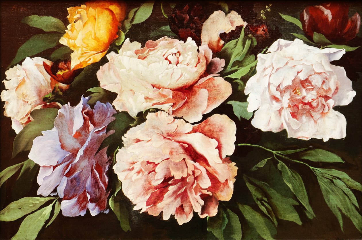 Pæoner af Anselm Feuerbach