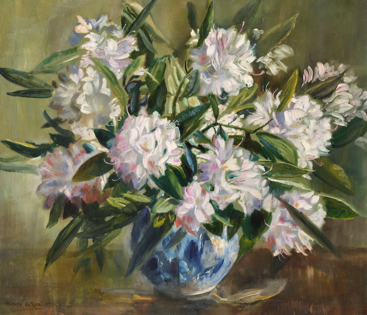 Rhododendron, bleg hvid og pink af Anthea Durose