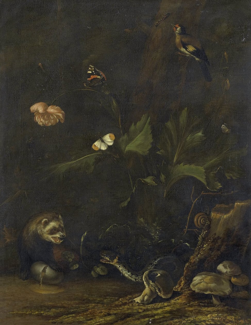 Dyr og planter af Anthonie van Borssom