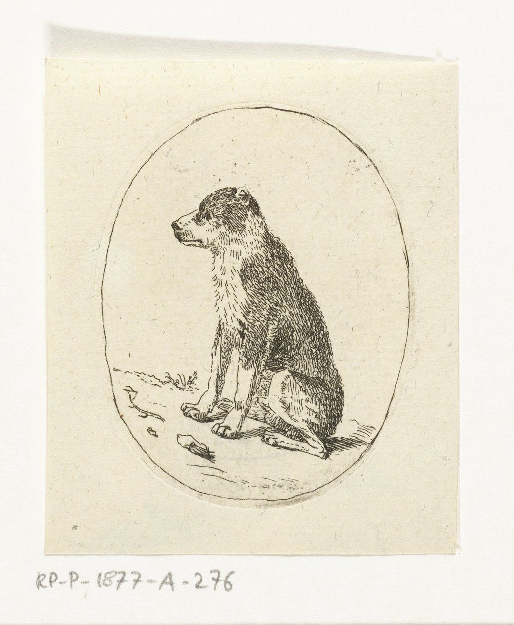 siddende hund af Anthonie van den Bos