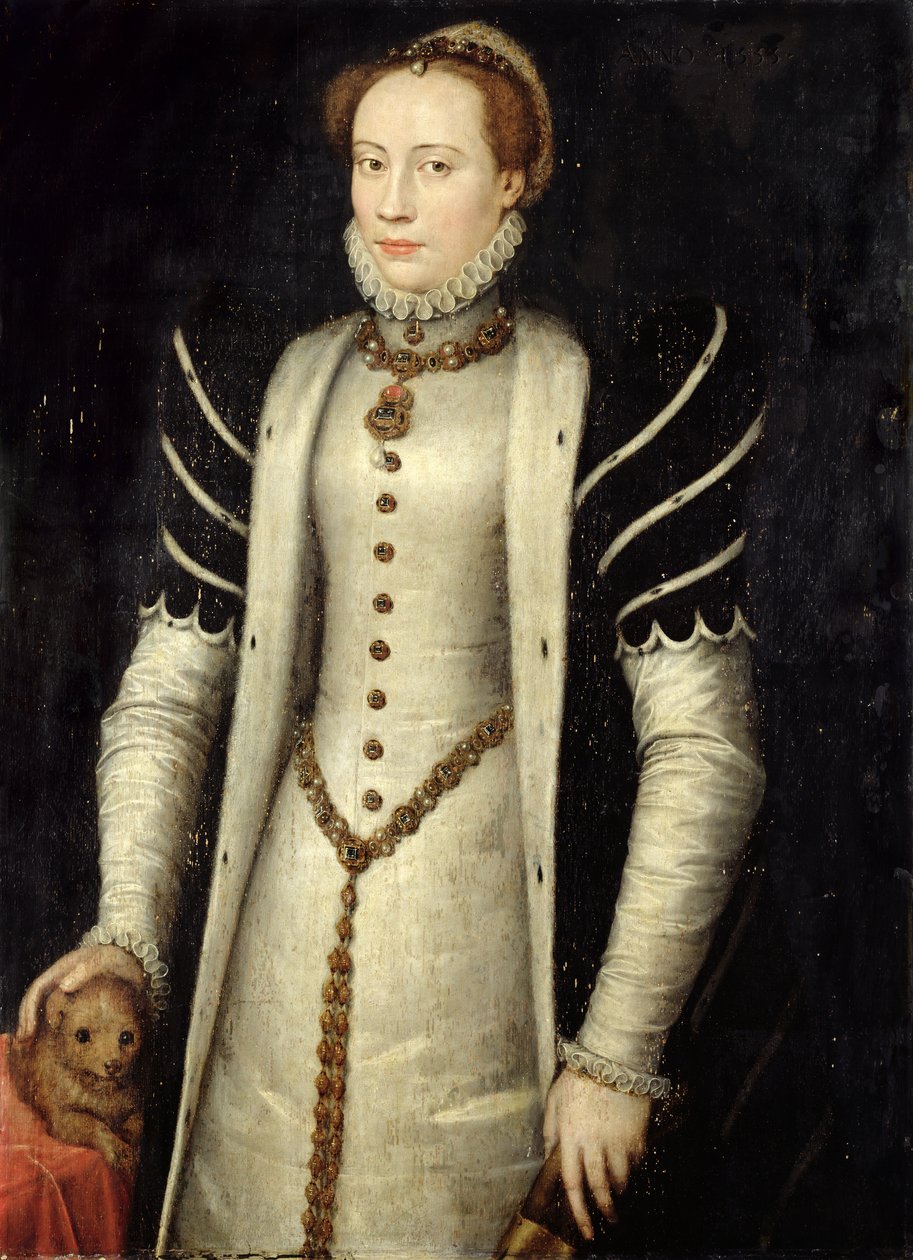 Portræt af en adelskvinde med en hvalp, 1555 (olie på egetræspanel) af Anthonis Mor