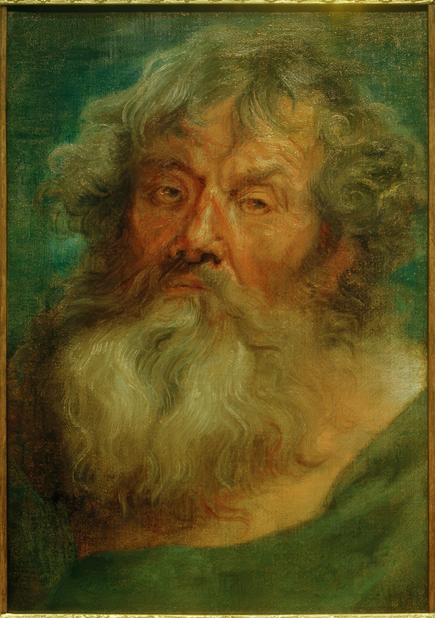 Hovedet af en gammel mand af Anthony van Dyck