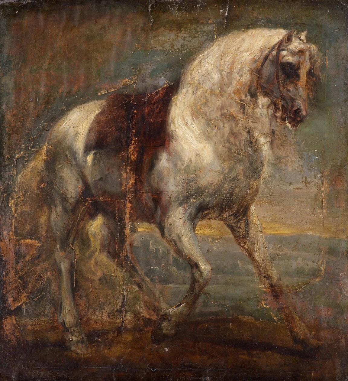 En grå hest af Anthony van Dyck
