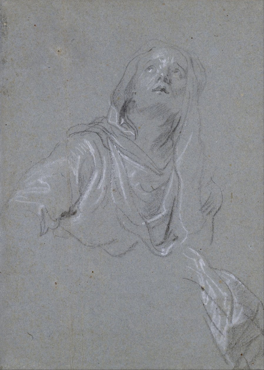Undersøgelse af en Madonna, der kigger opad af Anthony van Dyck