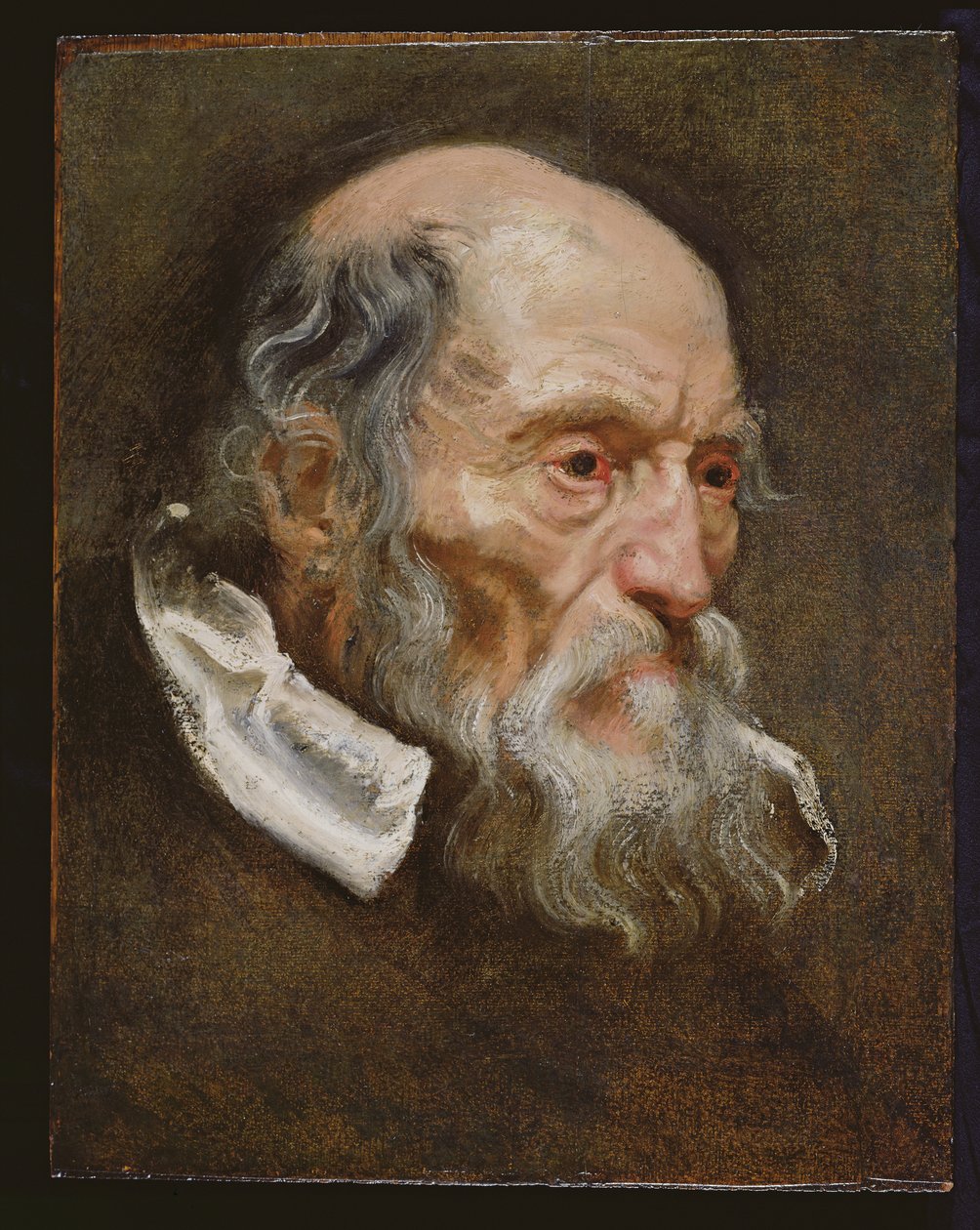 Portræt af en gammel mand af Anthony van Dyck