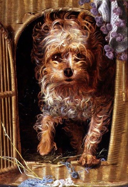 Darby, en Yorkshire Terrier (olie på panel) af Anthony Frederick Augustus Sandys