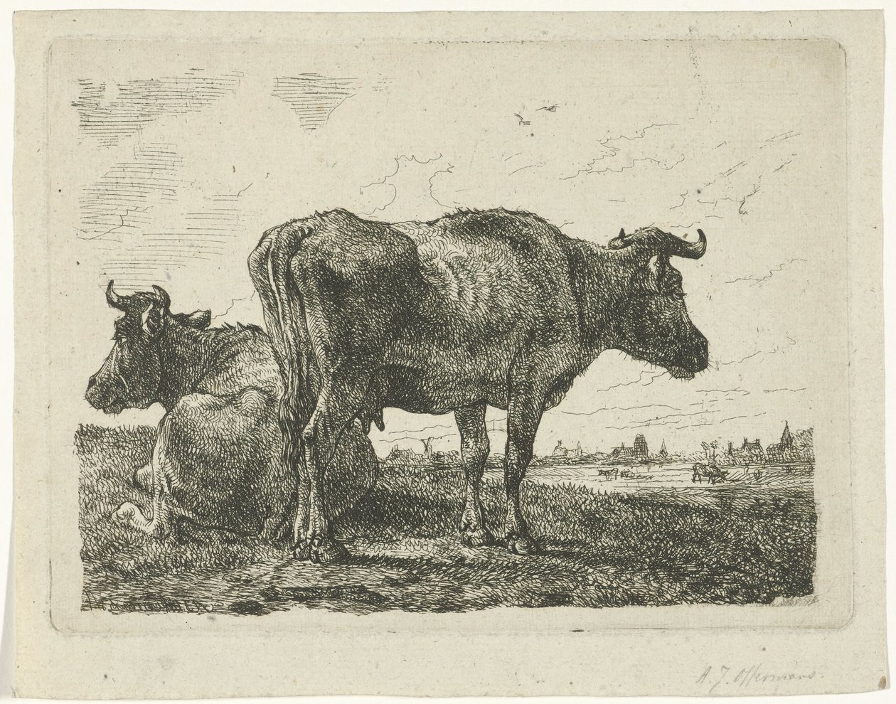To køer af Anthony Jacobus Offermans