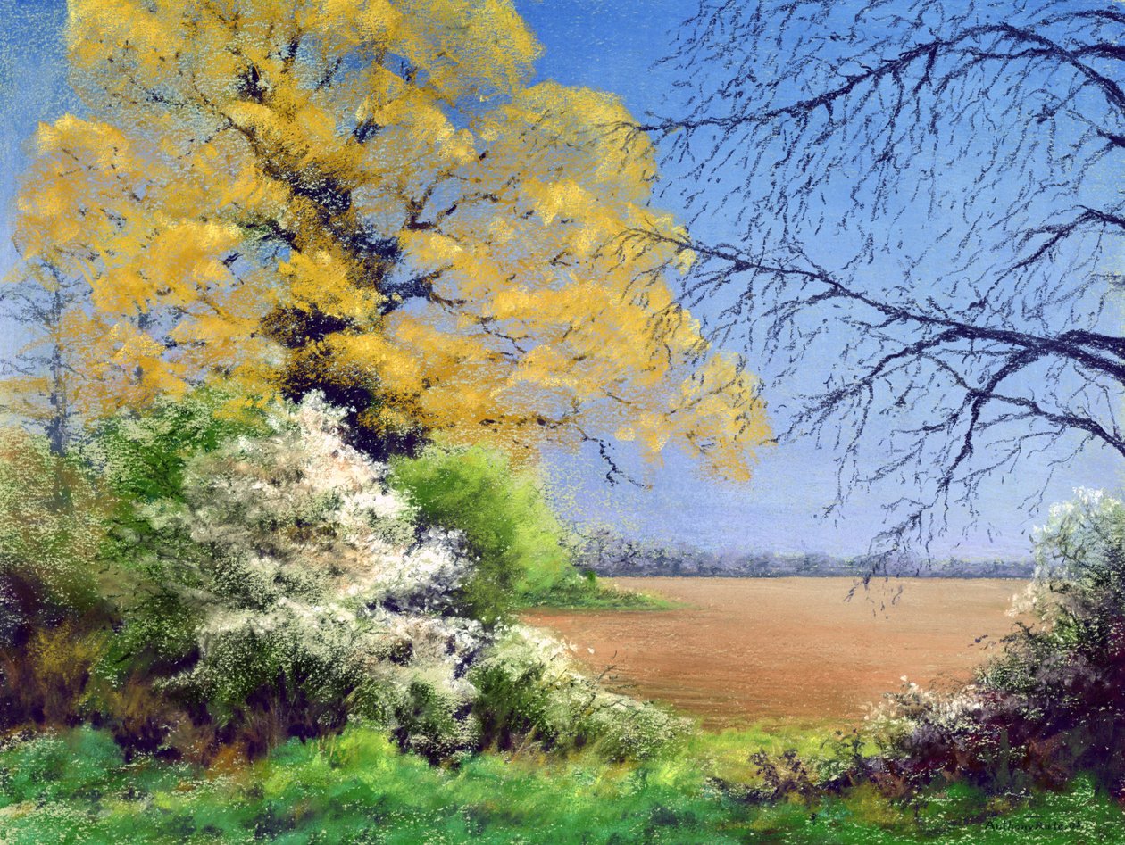 Blackthorn Winter, 2003 af Anthony Rule