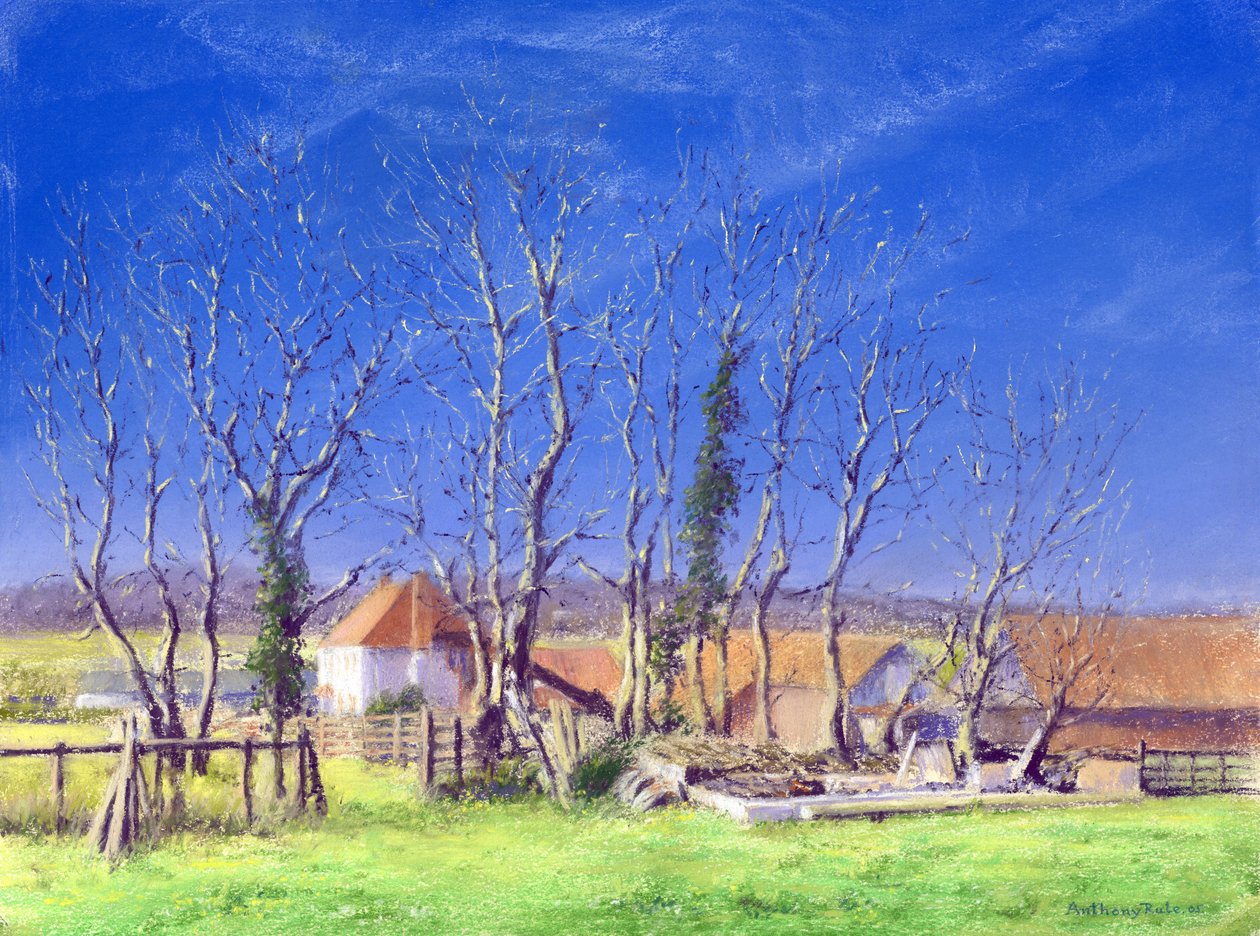 Brockwell Farm, 2005 af Anthony Rule