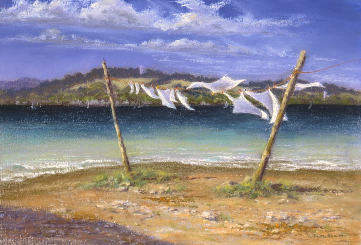 Drying the Whites, 2004 af Anthony Rule