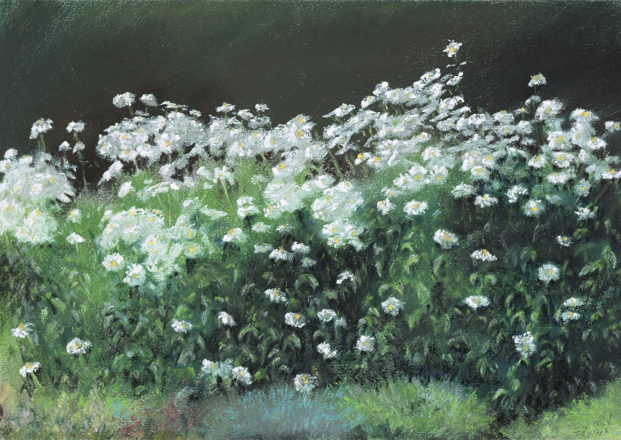 Shasta Daisies, 1992 af Anthony Rule
