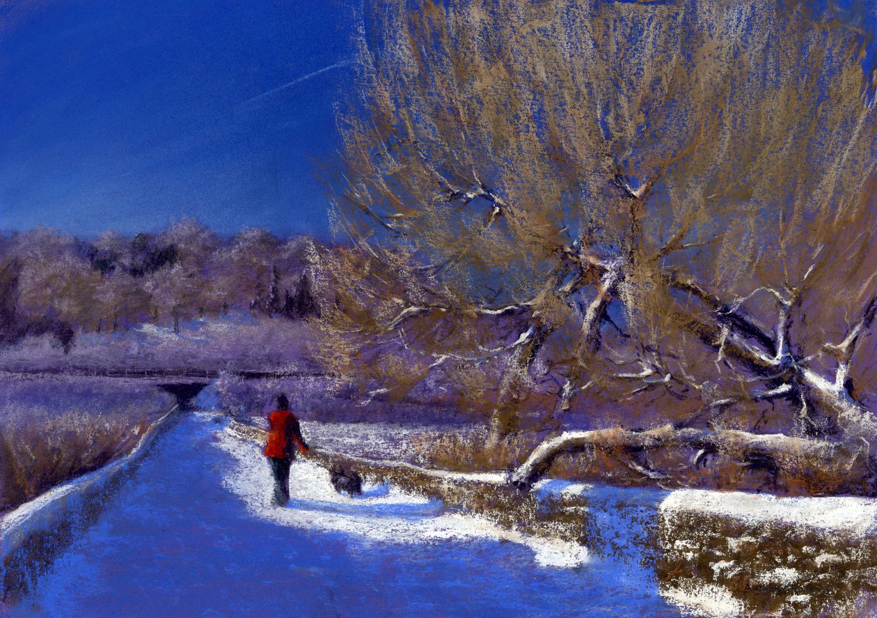 Vintervandring, 2012 af Anthony Rule