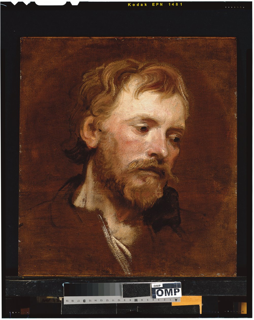 En skægget mand, et studie af Anthony van Dyck