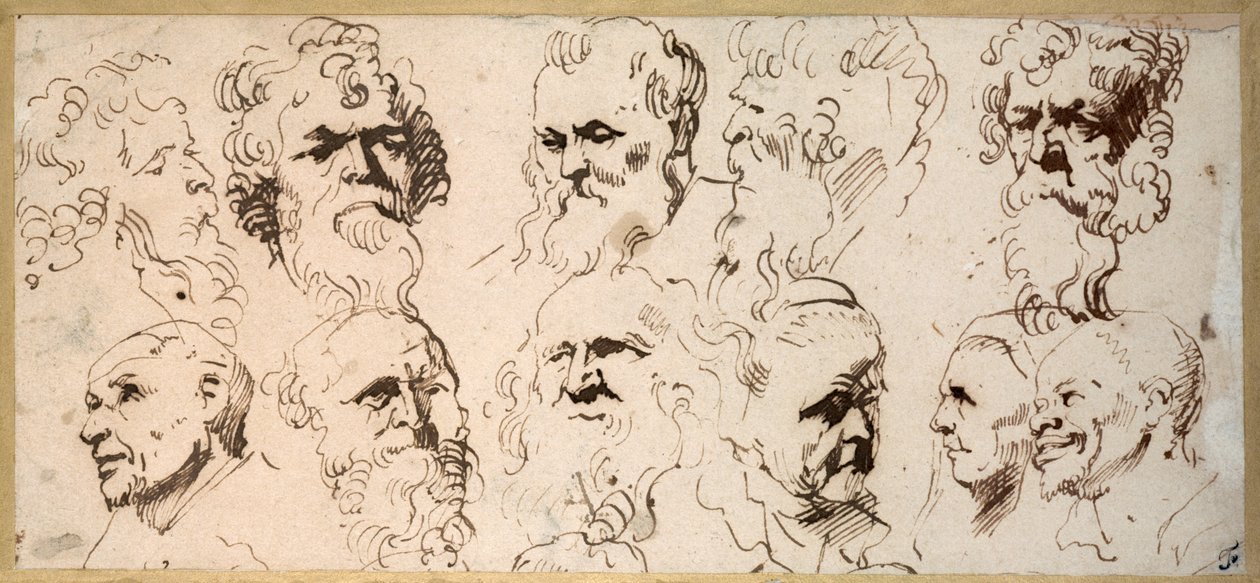Elleve hovedstudier (pen og brunt blæk på papir) af Anthony van Dyck