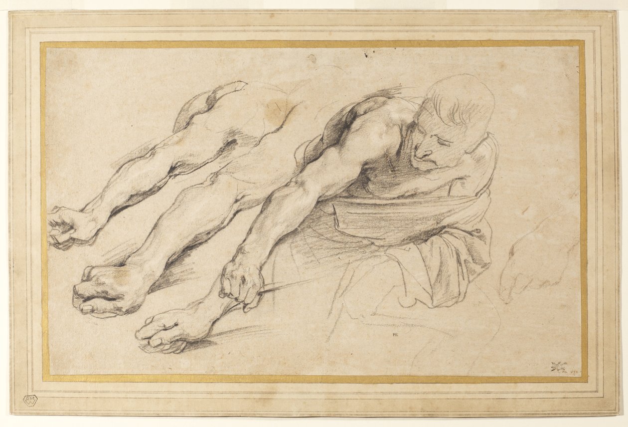 Figur af en mand, der bøjer sig frem med højre arm strakt; tre undersøgelser af højre arm og en af venstre hånd for samme figur (kridt på papir) af Anthony van Dyck