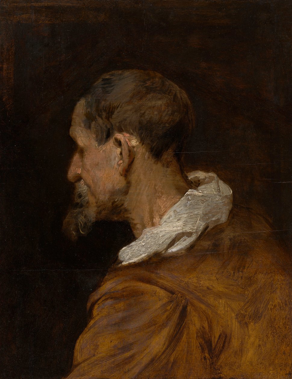 Hovedundersøgelse af Anthony van Dyck