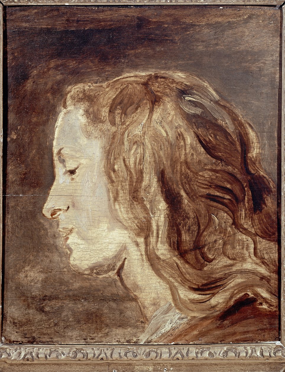 Head Study, første halvdel af det 17. århundrede (olie på bord) af Anthony van Dyck