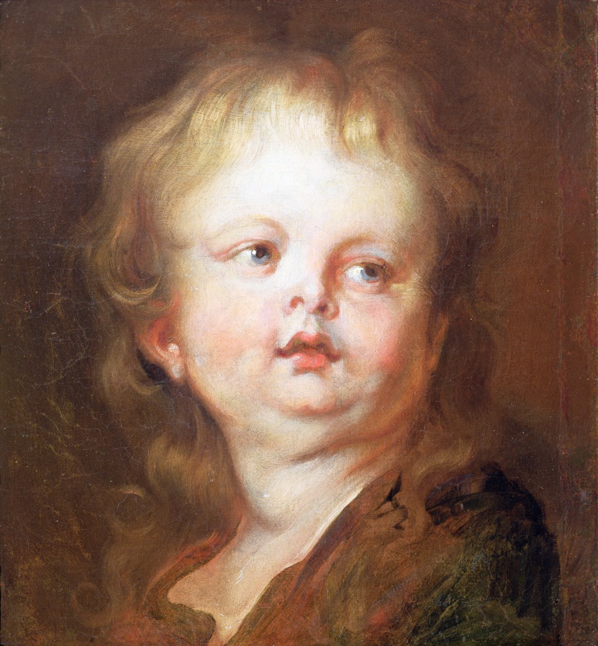 Hovedet af en dreng af Anthony van Dyck