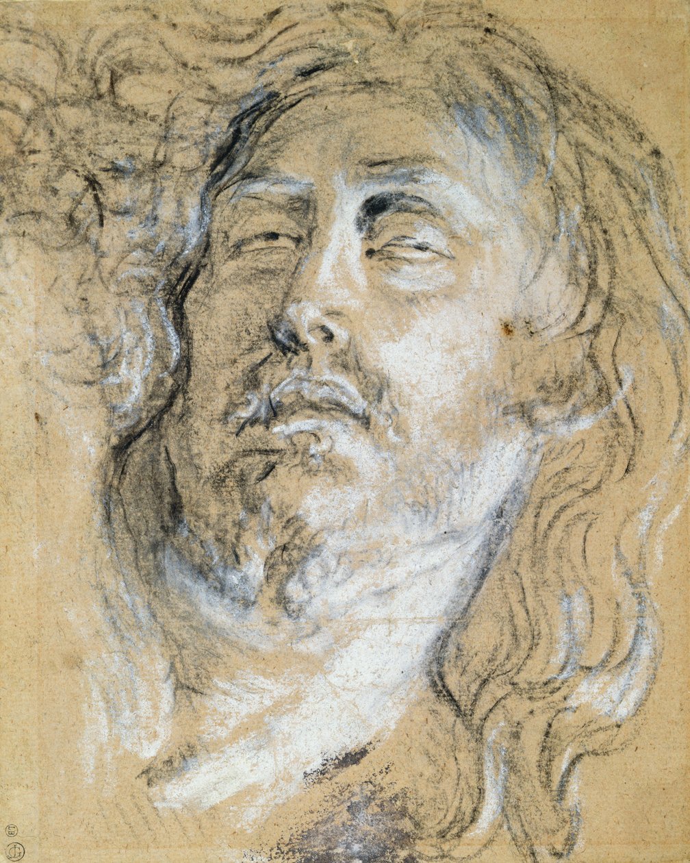 Hovedet af den døde Kristus (kul og kridt på papir) af Anthony van Dyck