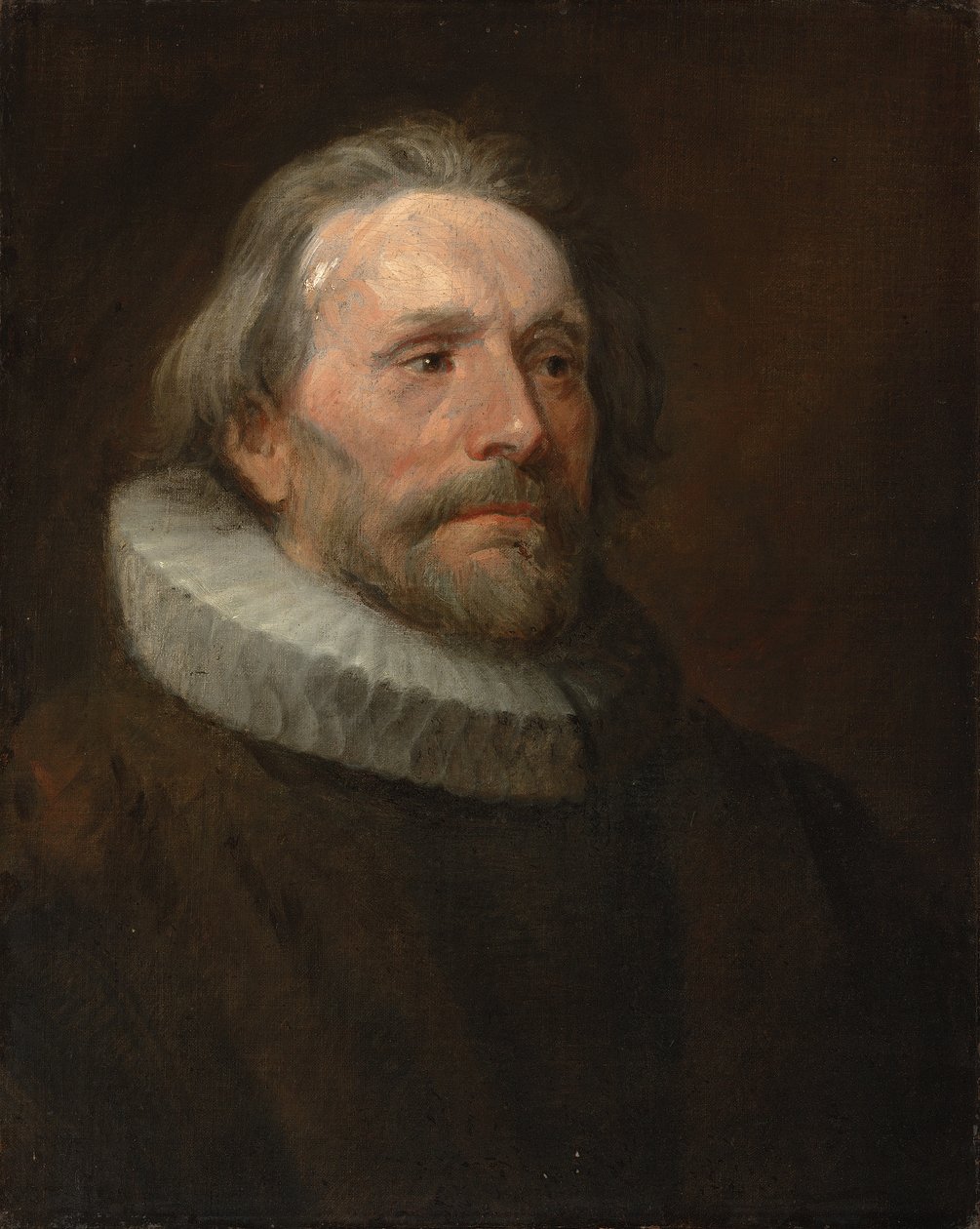 Hovedstudie af en mand i en ruff af Anthony van Dyck