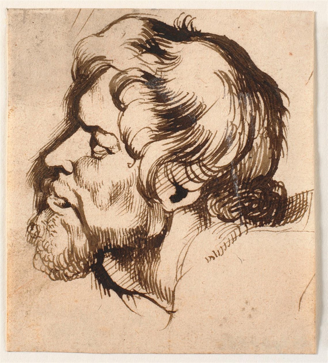 Hovedet af en mand af Anthony van Dyck