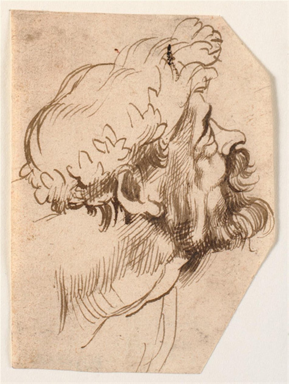 Hovedet af en mand af Anthony van Dyck