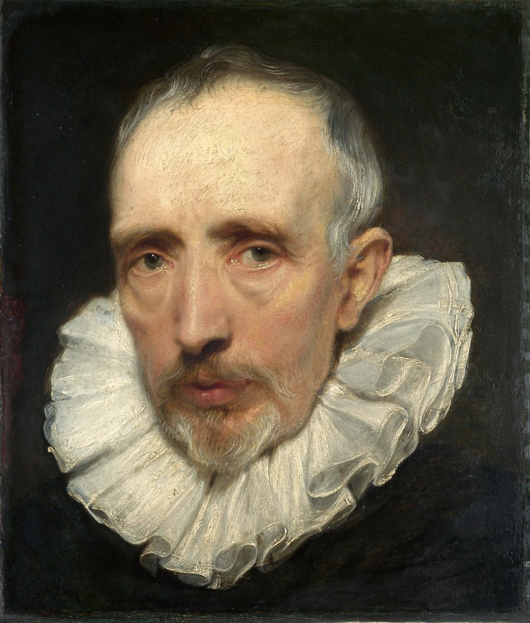 Portræt af Cornelis van der Geest af Anthony van Dyck