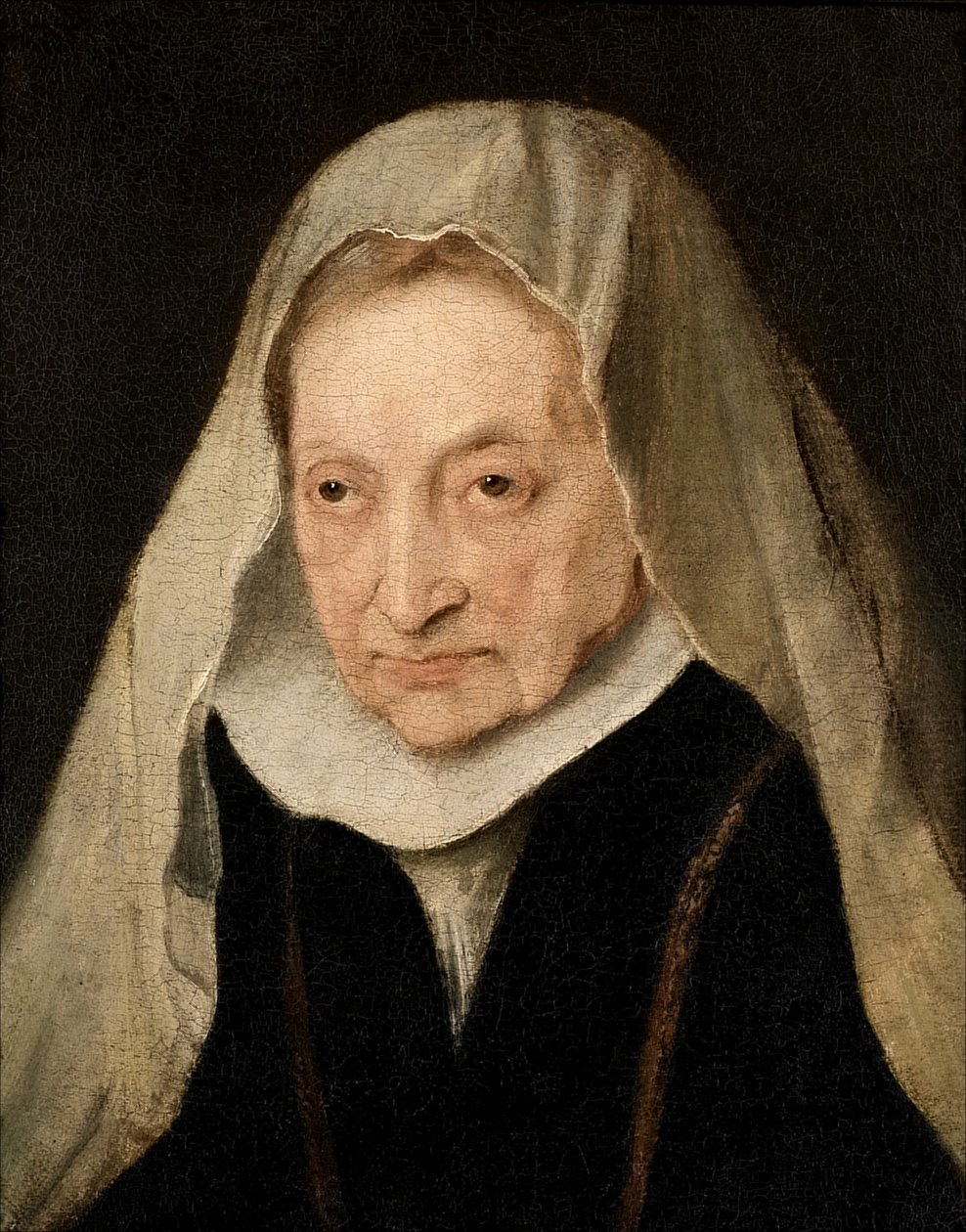 Sofonisba Anguissola (Cremona 1530/6-1625) af Anthony van Dyck