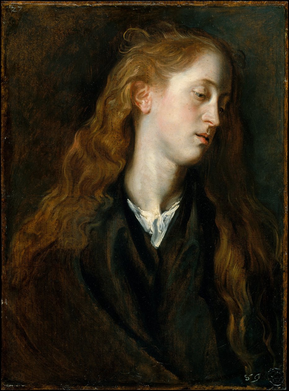 Hovedstudie af en ung kvinde af Anthony van Dyck