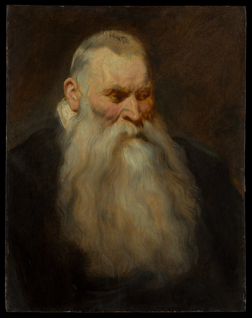 Hovedstudie af en gammel mand med hvidt skæg af Anthony van Dyck