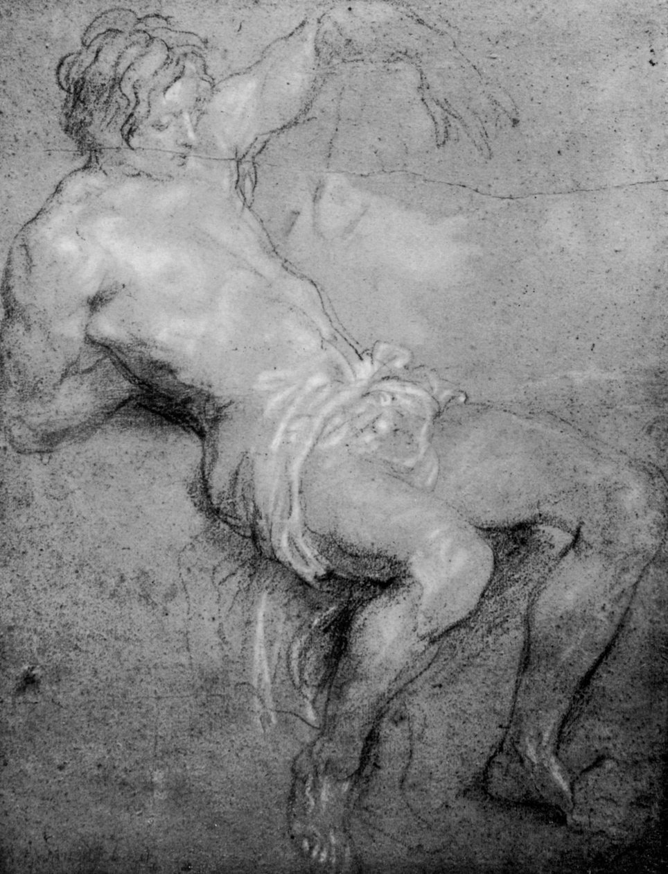 Studie for St. Sebastian, 1913. af Anthony van Dyck