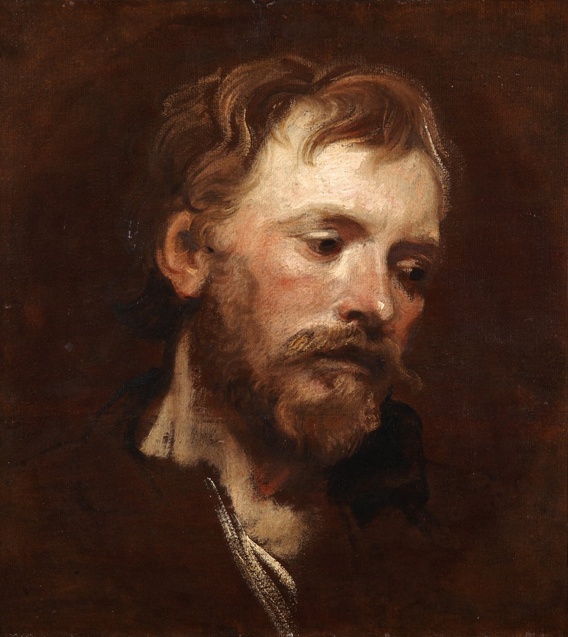 Studie af en ung skægget mand af Anthony van Dyck