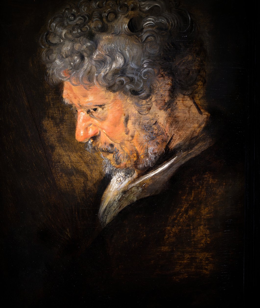 Studie af en gammel mands hoved: venstre profil (detalje) af Anthony van Dyck