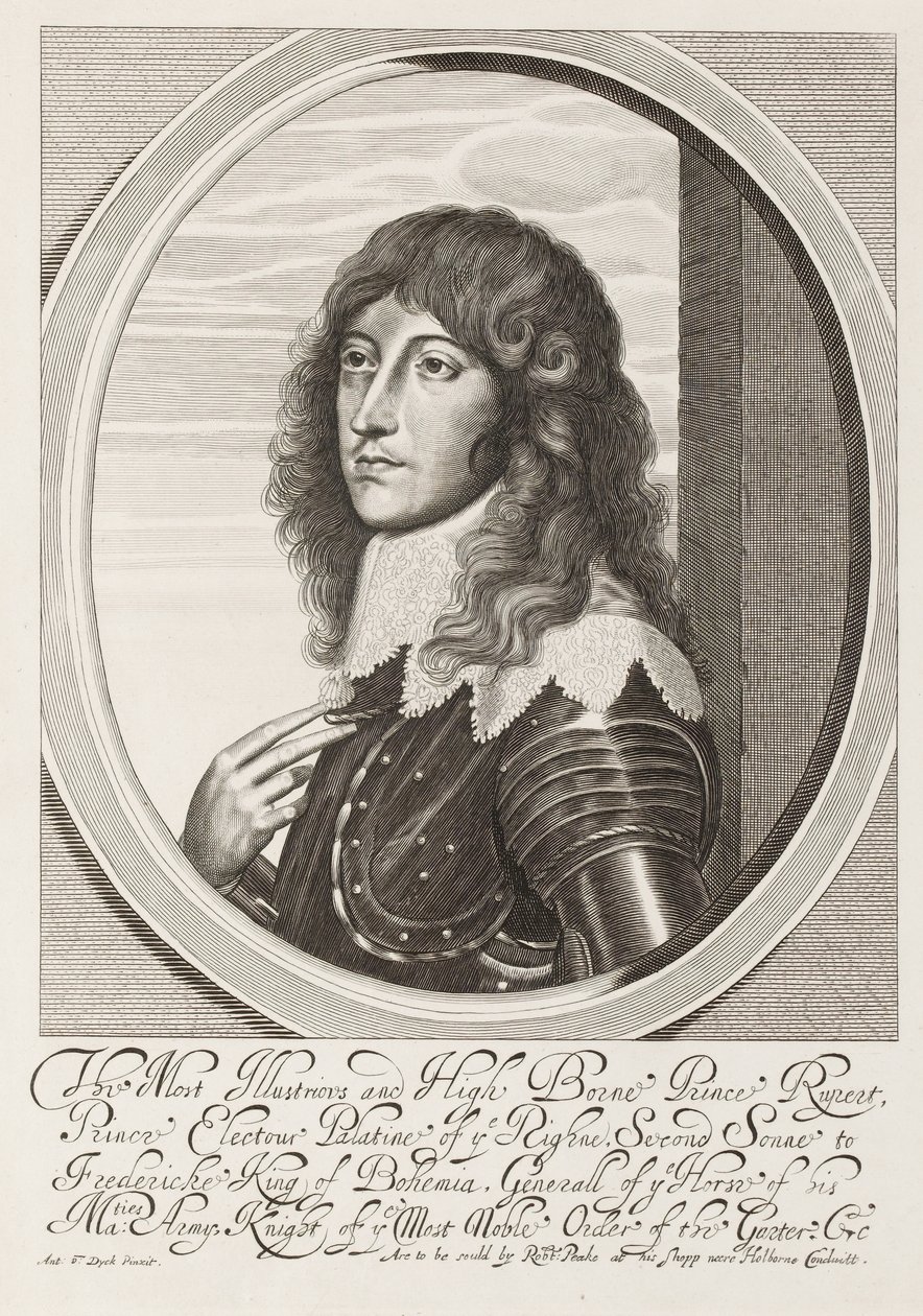 ?Den mest berømte og højbårne prins Rupert?, 1640 ca af Anthony van Dyck