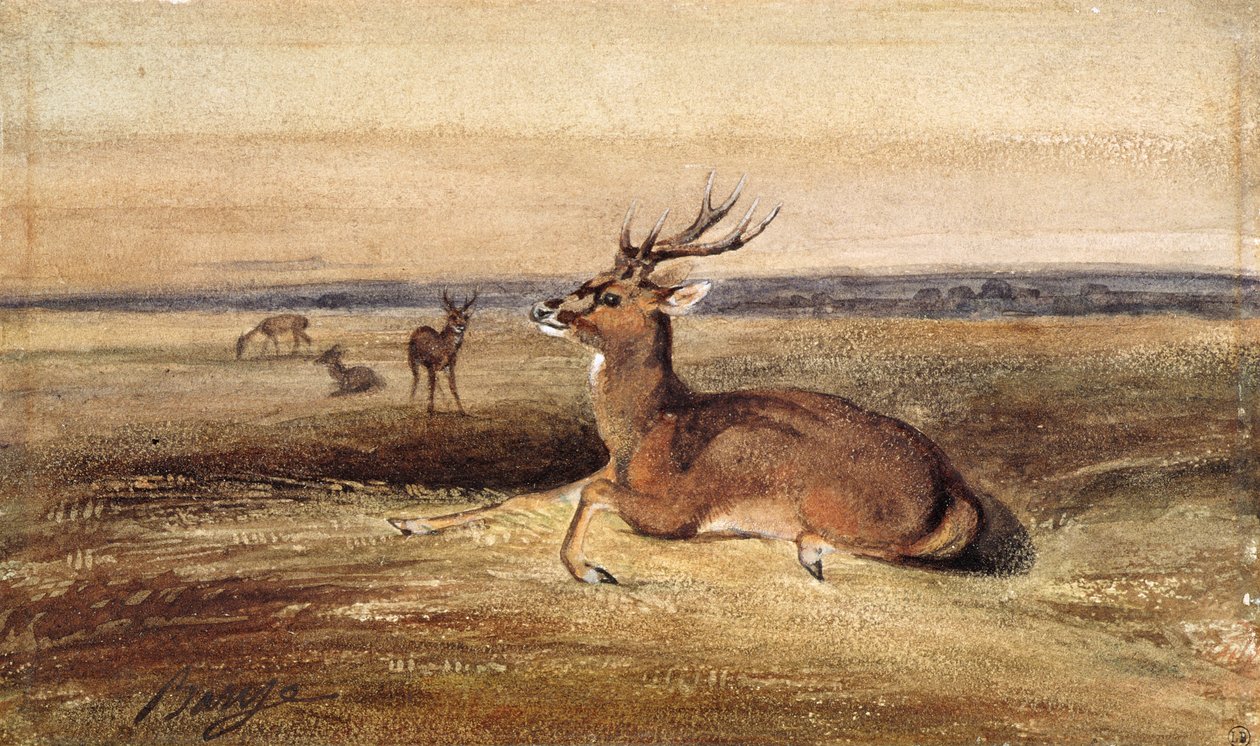 Rastende hjorte af Antoine Louis Barye
