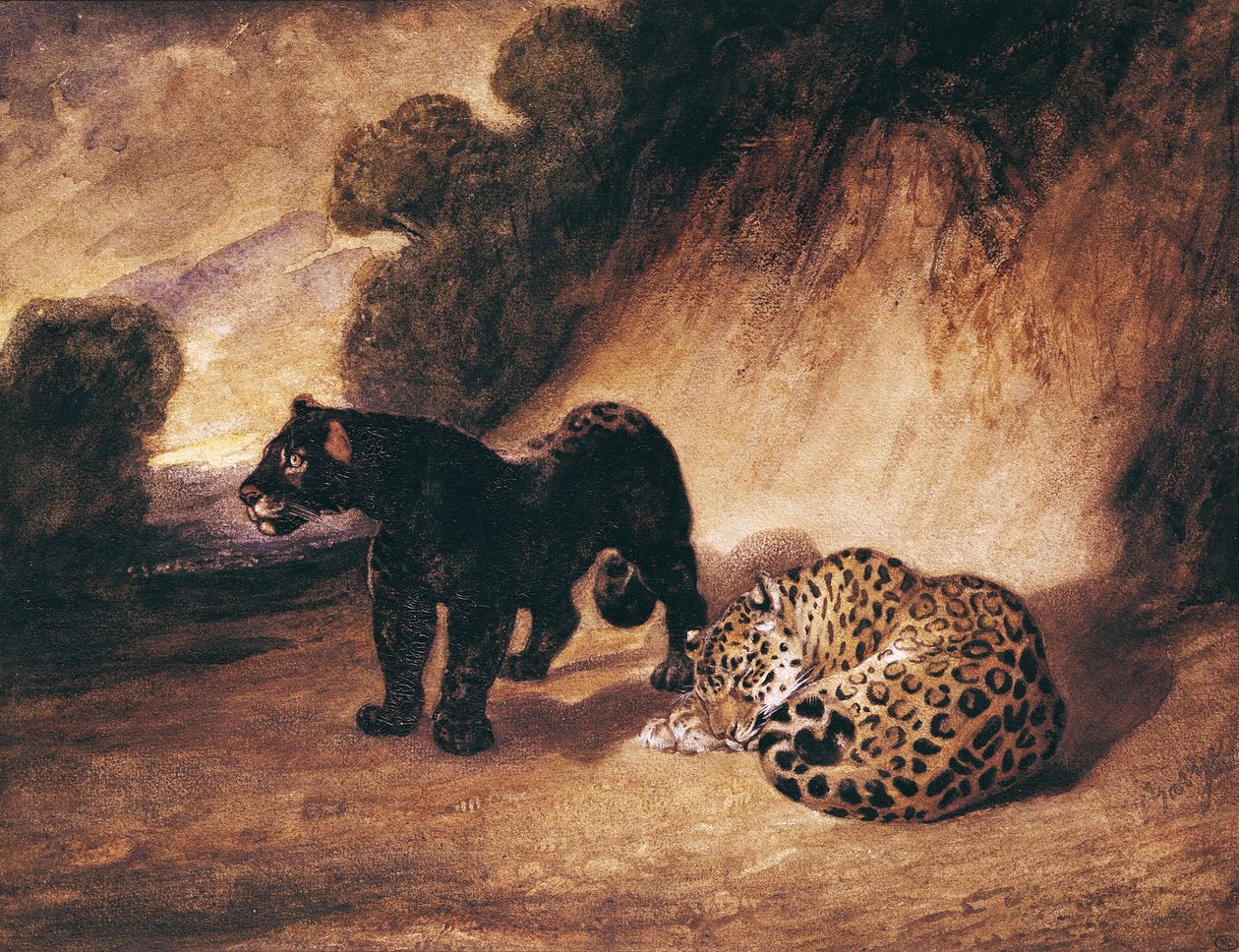 To Jaguarer fra Peru af Antoine Louis Barye