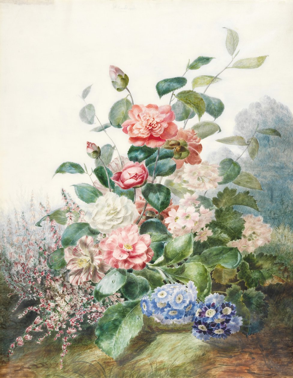 Forskellige blomster, der vokser i liggende omgivelser (wc på vellum) af Antoine Pascal