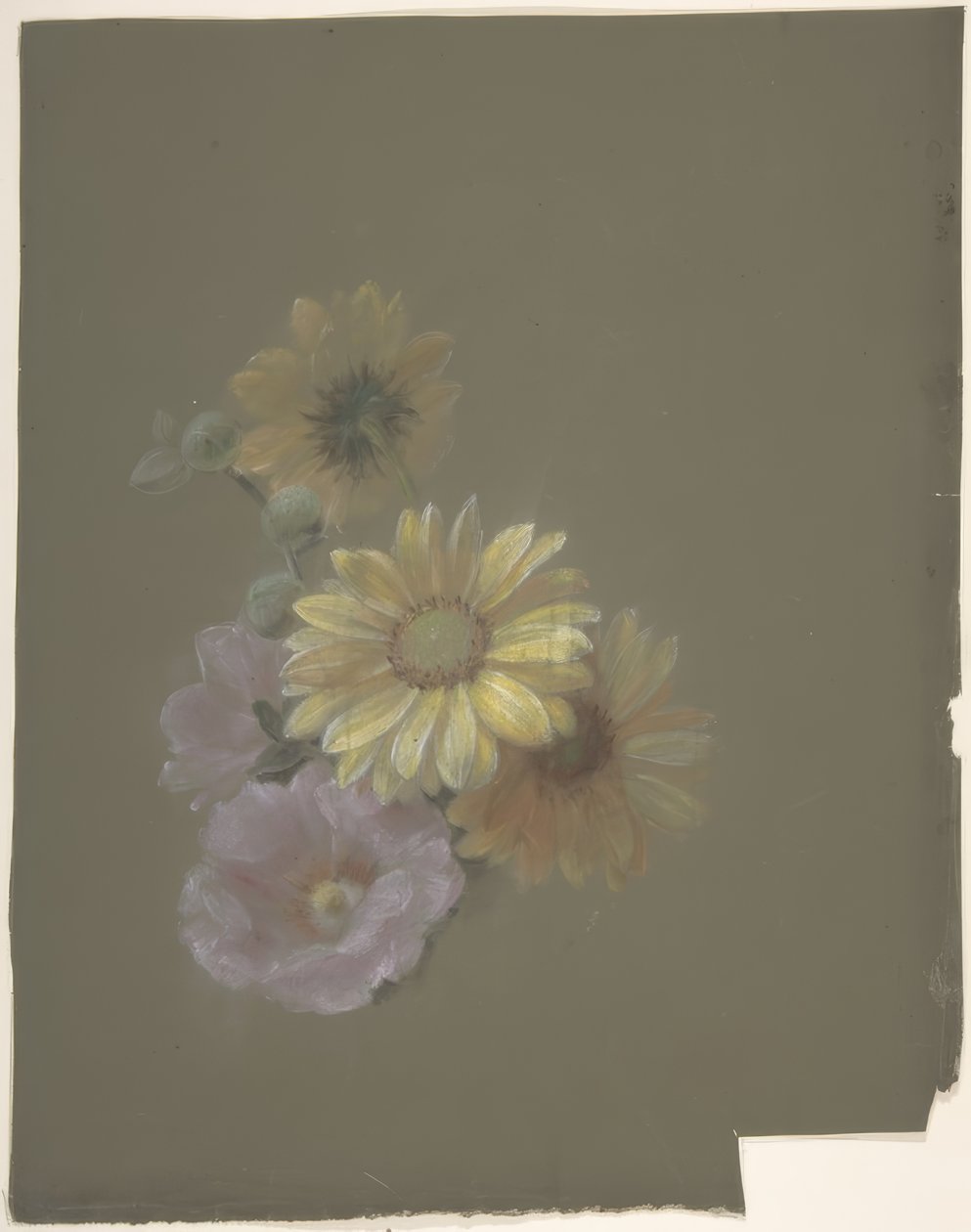 Gule tusindfryd og Pink Wild Rose af Antoine Berjon