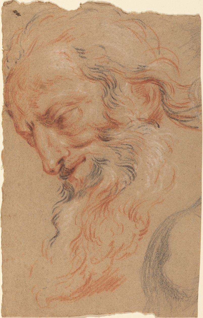 Hovedet af en gammel mand af Antoine Coypel