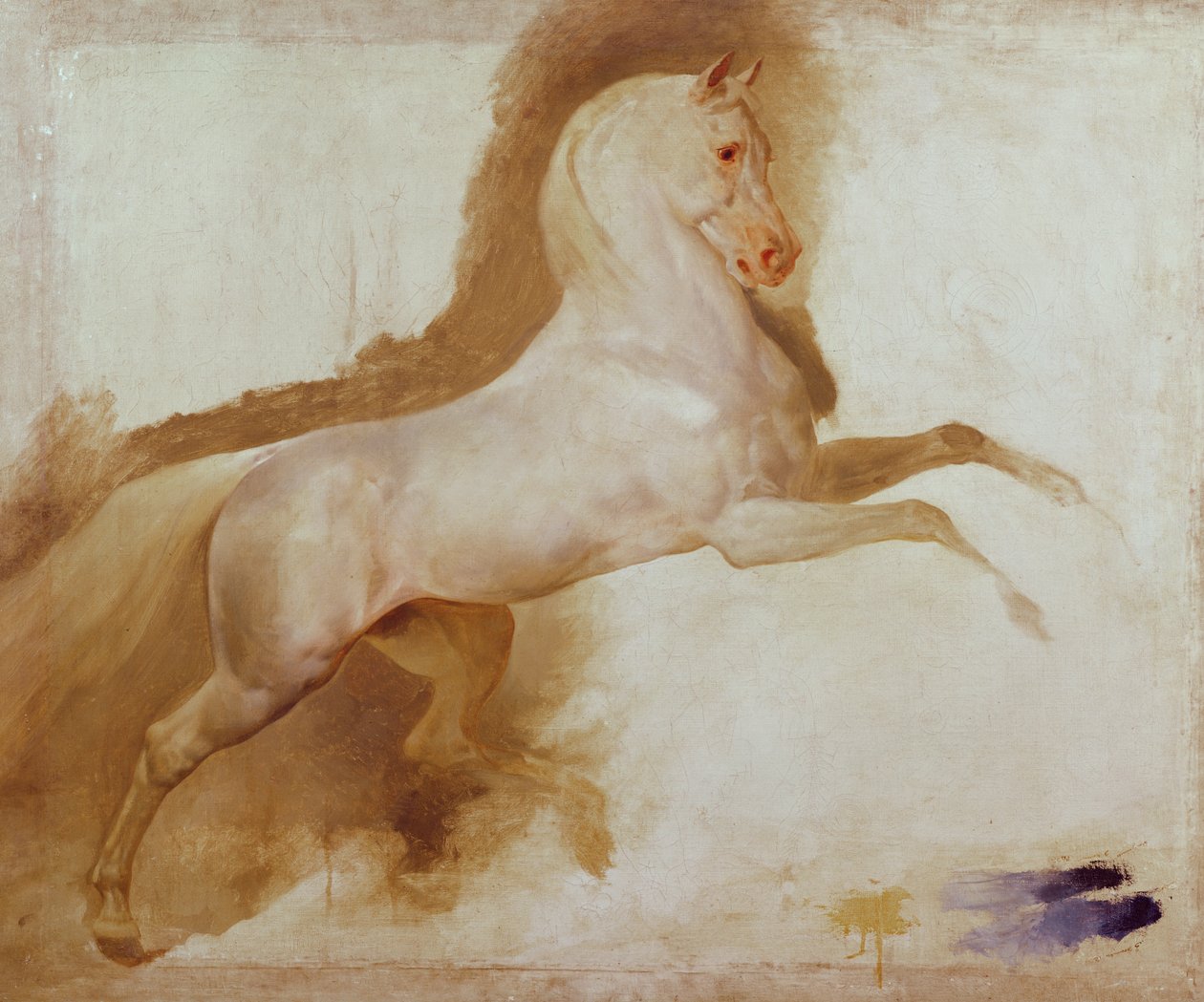 Hest af Joachim Murat, ca. 1832 af Antoine Jean Gros