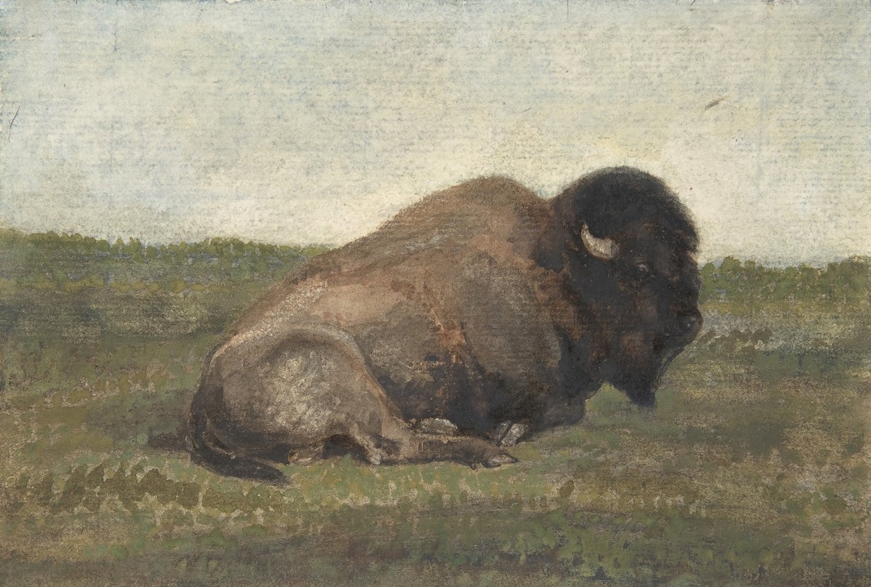 Bison liggende, 1810-75. af Antoine Louis Barye